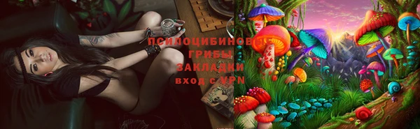 ешки Абинск