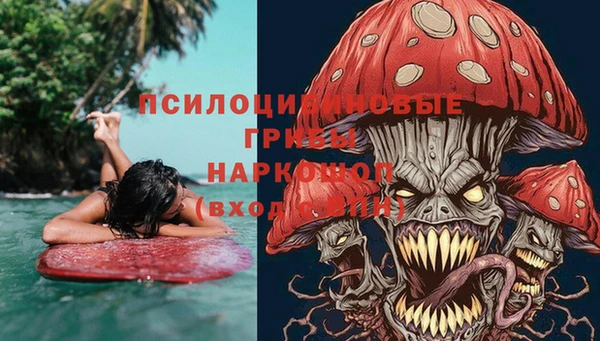 ешки Абинск