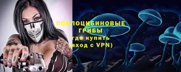 бошки Абаза